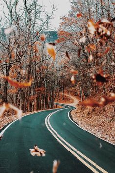 autumn leaves more