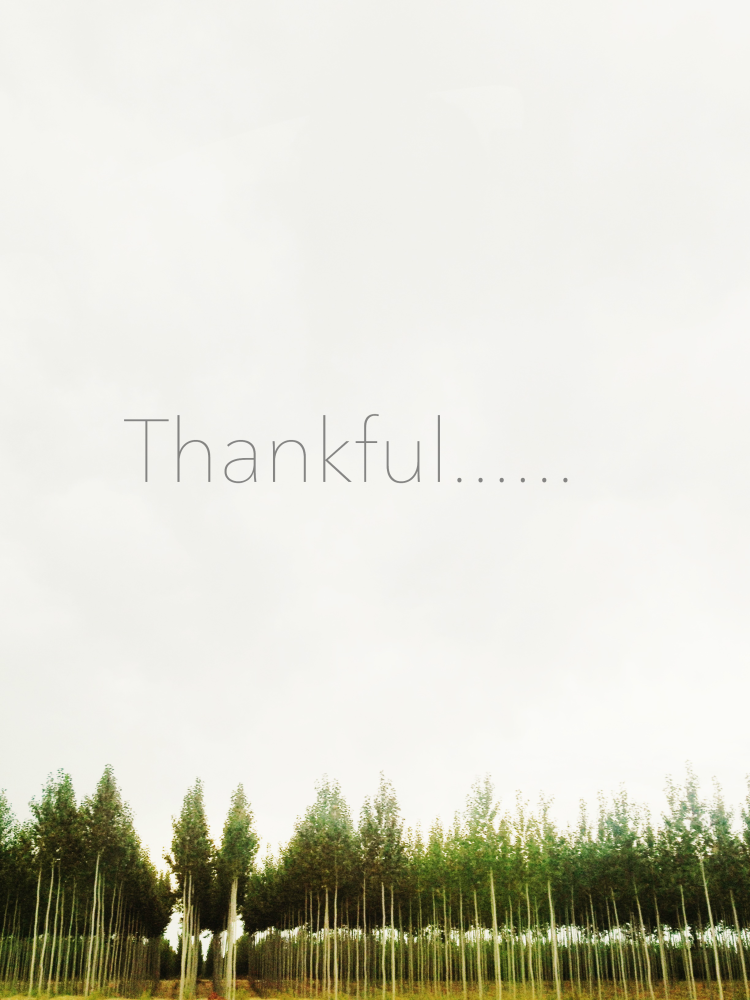 thankful