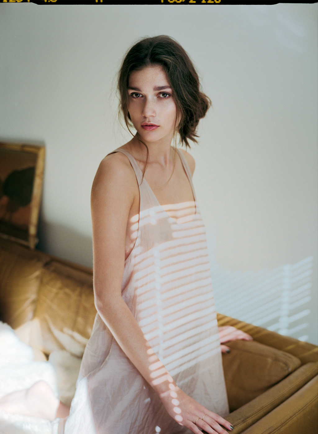 BED-TANK-2_2048x2048