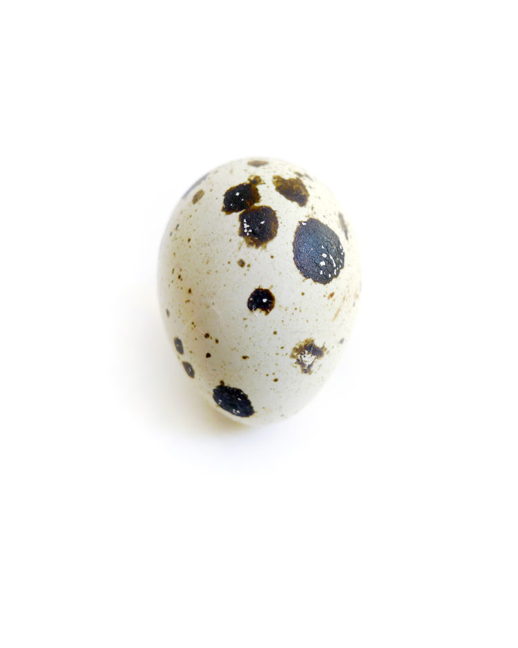 quail-egg