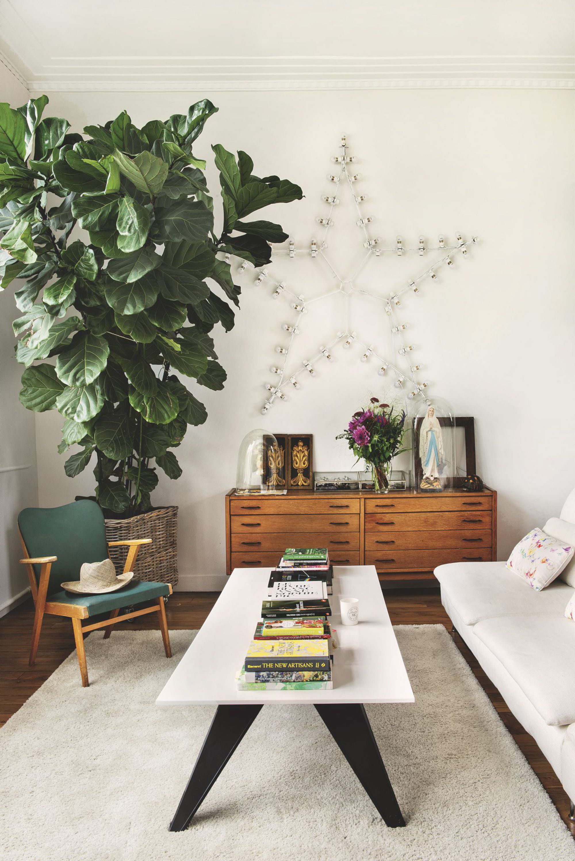 imposant-ficus-dans-salon-tout-blanc_5583885